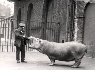 Een foto van Ernie Bowman en Bobbie in de London Zoo, 1923 door Frederick William Bond